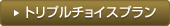 �g���v���`���C�X�v����
