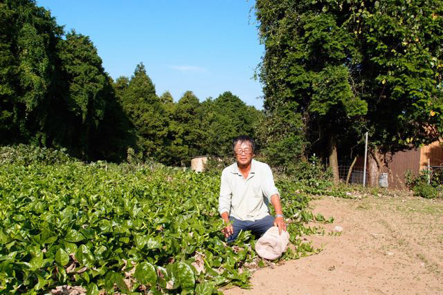 岩崎農園