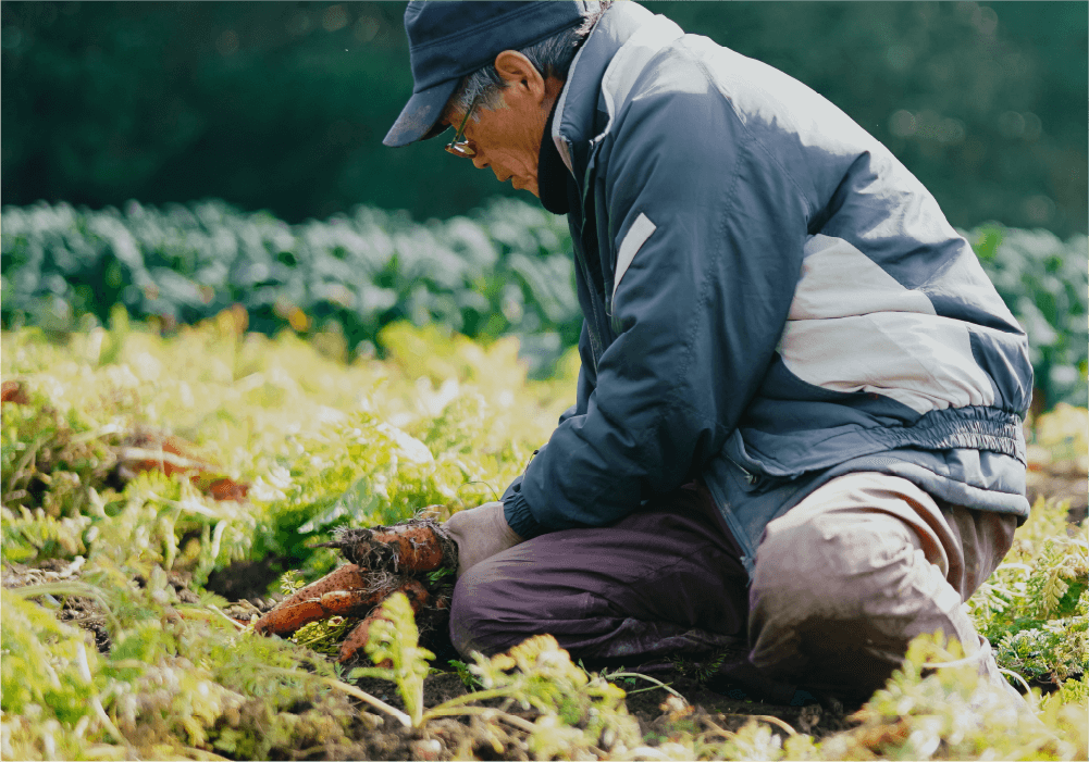 種どり野菜